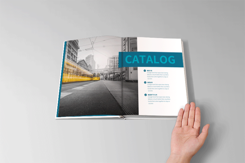 企業(yè)畫冊印刷  第1張