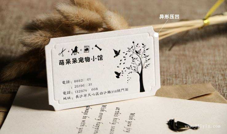 名片設(shè)計(jì)欣賞-異形名片  第2張