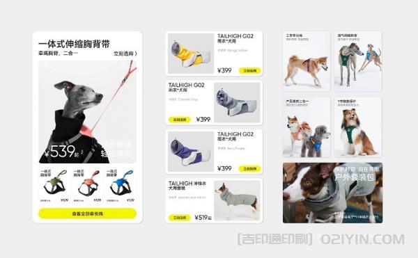 寵物品牌形象VI設(shè)計(jì)印刷 第6張 寵物品牌形象VI設(shè)計(jì)印刷 第6張