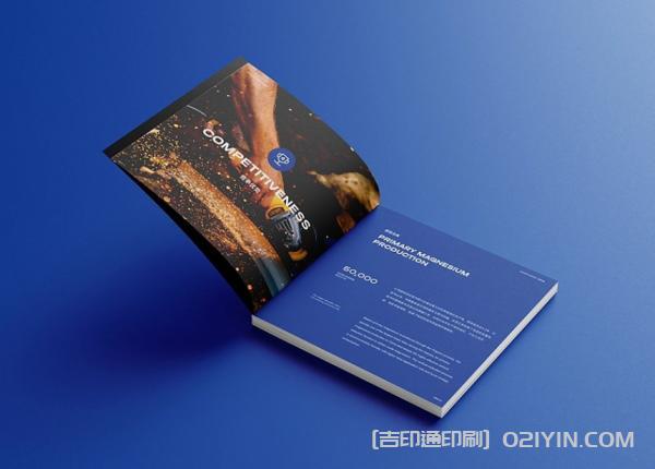外企業(yè)畫冊(cè)設(shè)計(jì)印刷  第7張
