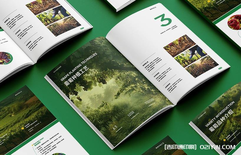 上海產(chǎn)品畫冊印刷避坑指南：文件規(guī)范、工期把控與質(zhì)量驗(yàn)收要點(diǎn)